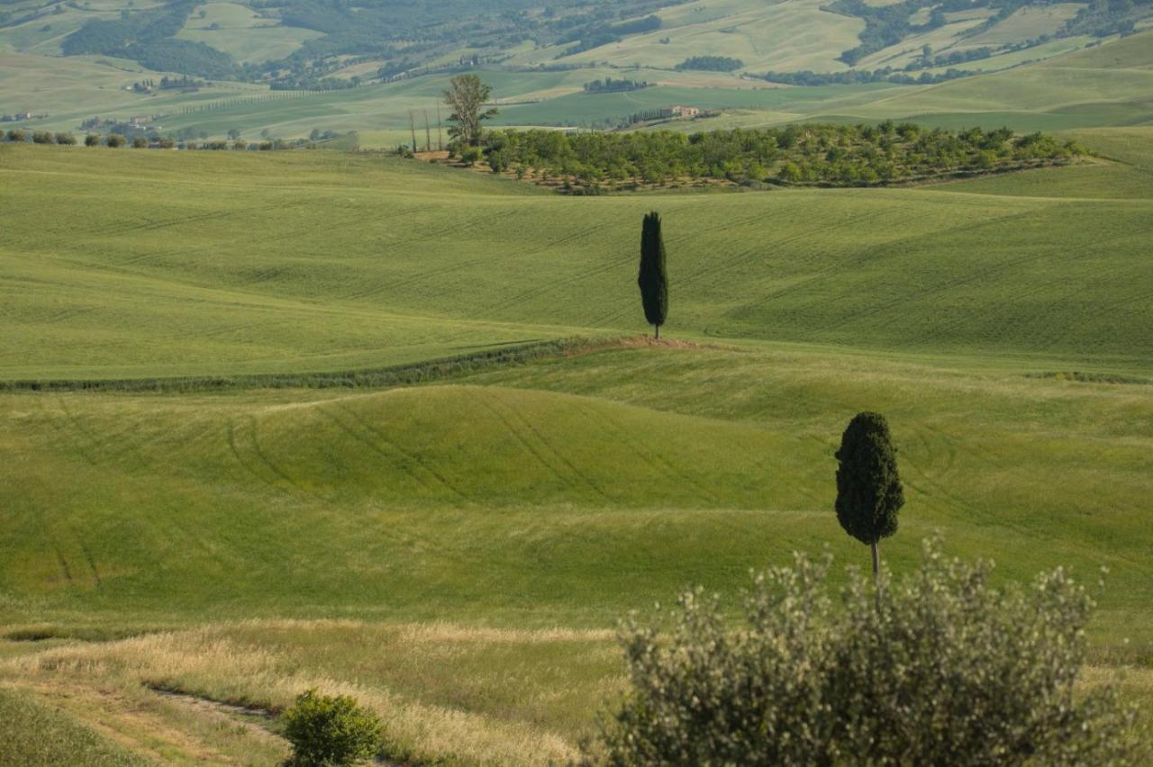 Agriturismo La Poderina 바뇨비뇨니 외부 사진